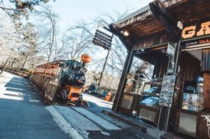 The Little Train of the Park
