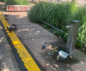 Drinking fountain near the ONLYLYON Rectangle