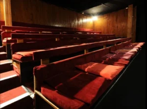 Théâtre des Marronniers Lyon