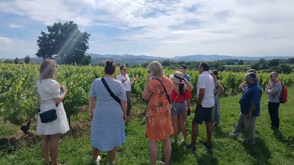 Au départ de Lyon : Dégustation de vins du Beaujolais aux Pierres d'Or