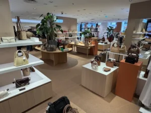 Guided tour of Printemps Lyon - Heritage Days 2026
