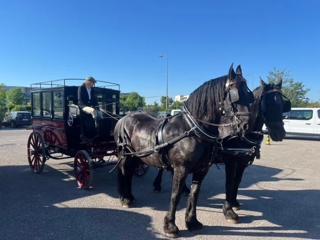 Horse-drawn carriage ride through the streets of Lyon - Discovering horse-drawn carriages - Heritage Days 2026