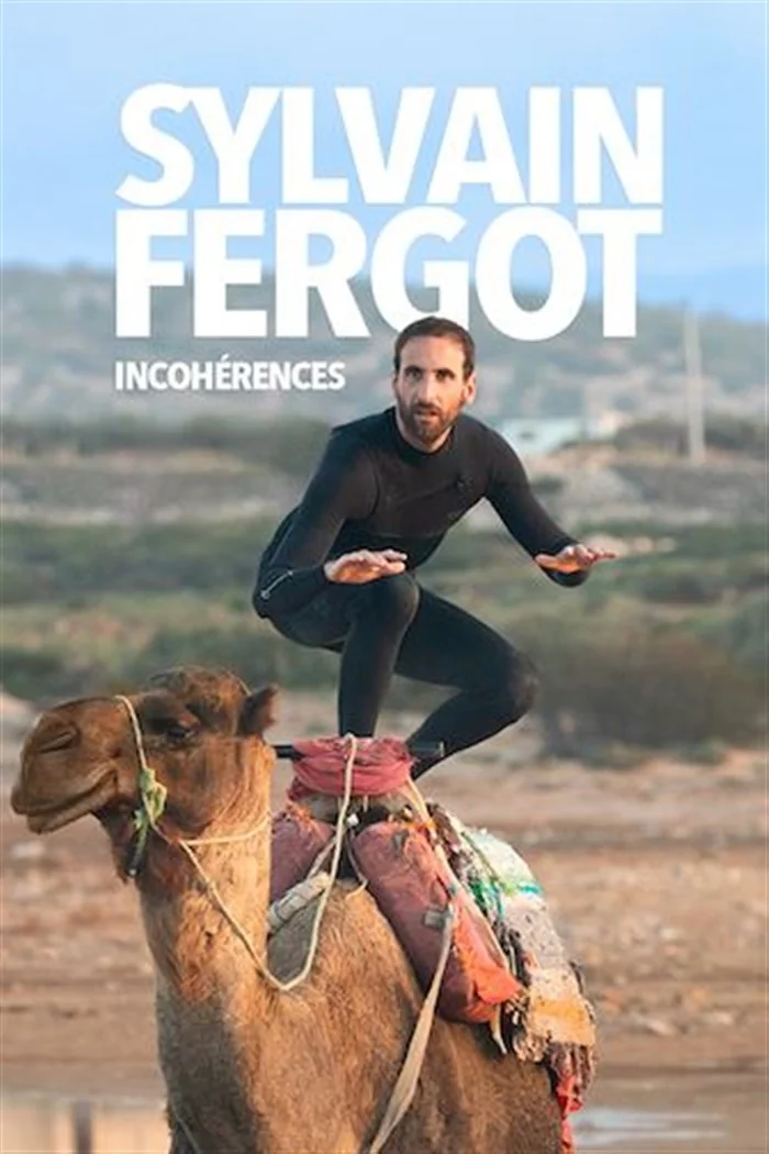 Sylvain Fergot in Inconsistencies