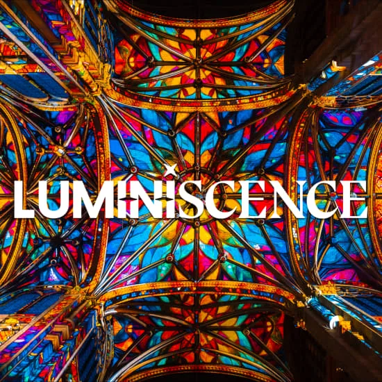 LUMINISCENCE: a new show in Lyon, The Celestial Odyssey